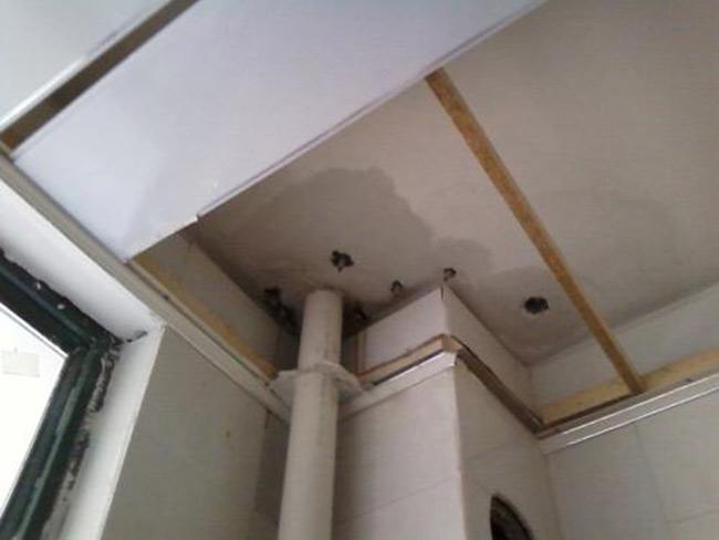 天花板防水安全做法 天花板如何避免漏水